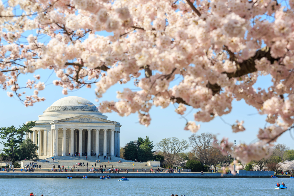 A Washington D.C. building. 