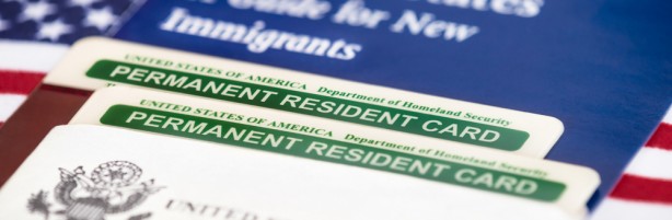 What Are Your Green Card Insurance Options? Featured Image